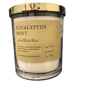 Leoben Co Candle | Eucalyptus Mint | Soy Wax Blend With Essential Oils | 9 oz